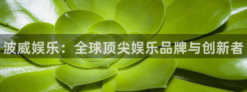 南宫大舞台官网入口