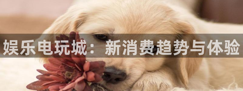 南宫大舞台