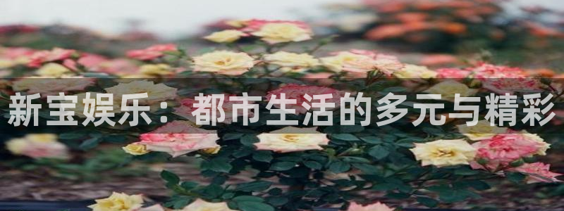 南宫大舞台