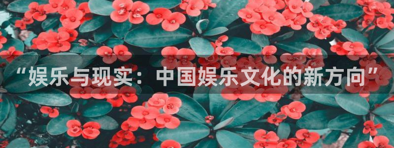 南宫大舞台官网入口