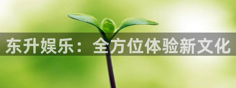 南宫大舞台官网入口