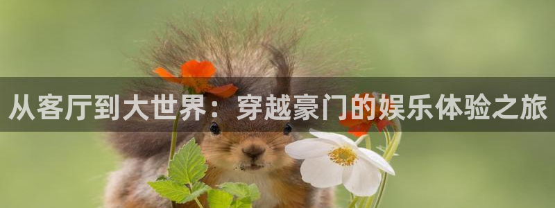 南宫大舞台官网入口