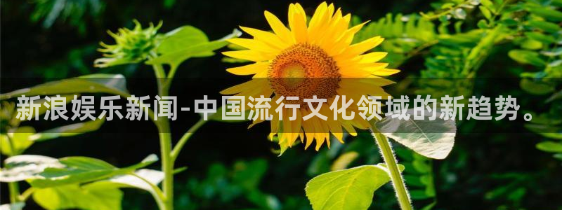 南宫大舞台官网入口