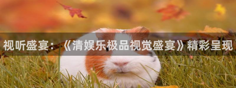 南宫大舞台官网入口